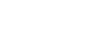 thecutNYmag-white.png